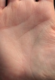 ������������� �����������