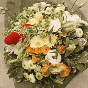 ������������� �����������