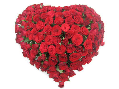 ������������� �����������