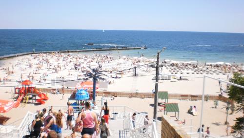 ������������� �����������