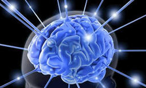 ������������� �����������