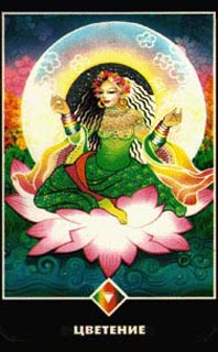 ������������� �����������