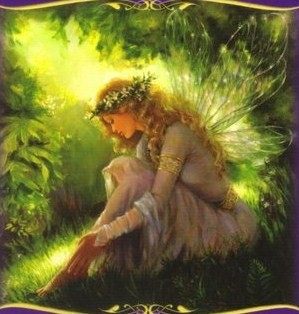 ������������� �����������