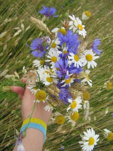 ������������� �����������