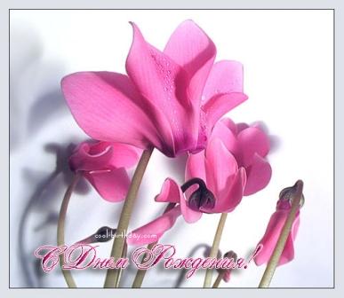 ������������� �����������