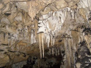 ������������� �����������