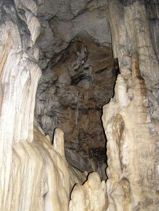 ������������� �����������