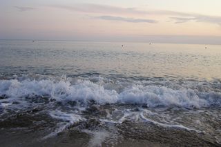 ������������� �����������