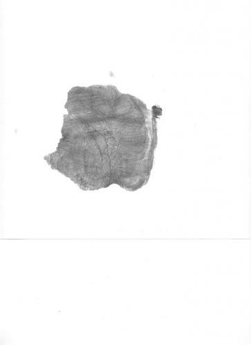 ������������� �����������