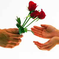 ������������� �����������