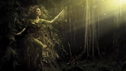 ������������� �����������