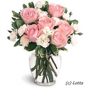 ������������� �����������