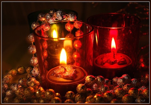 ������������� �����������