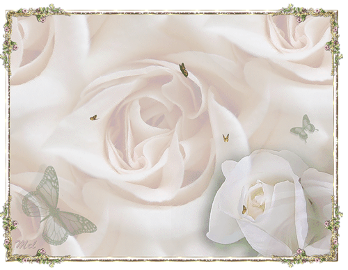 ������������� �����������